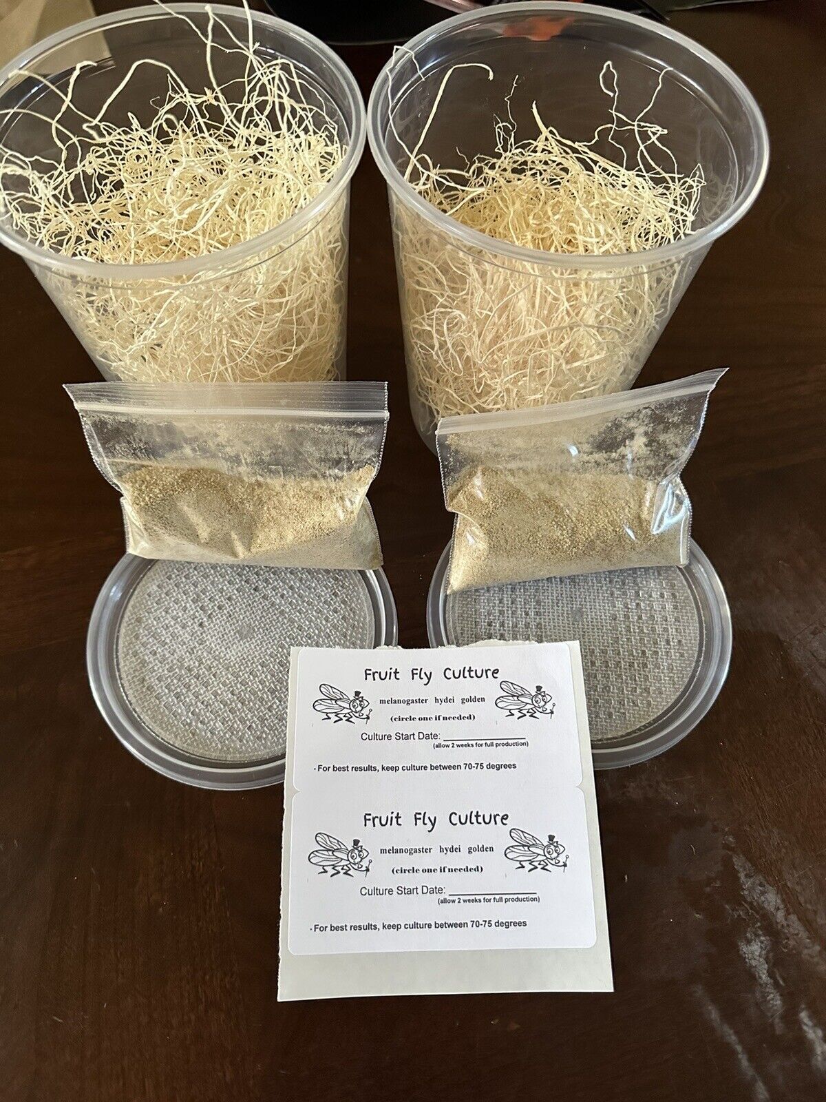 Fruit Fly Culture Kit - Makes 2 cultures - No Flies image 0