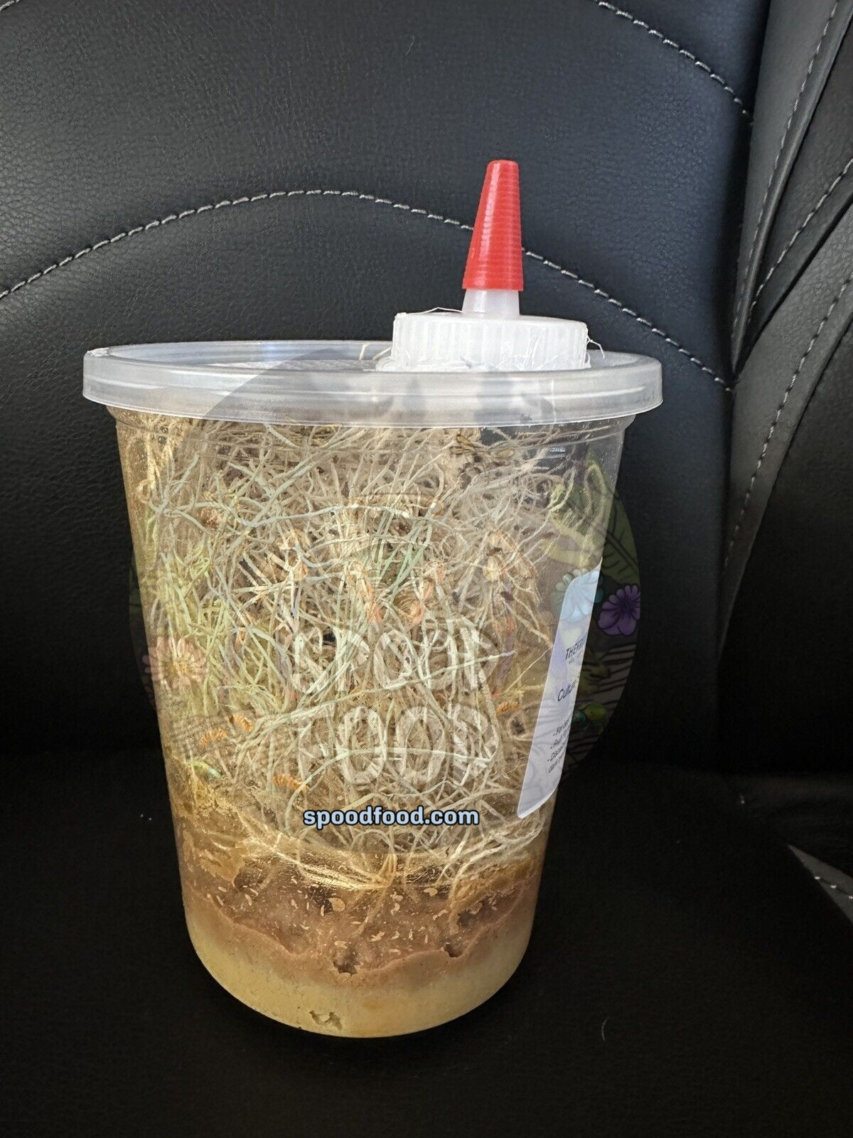 Easy Feed Deli Cup Lids (3 count) image 1