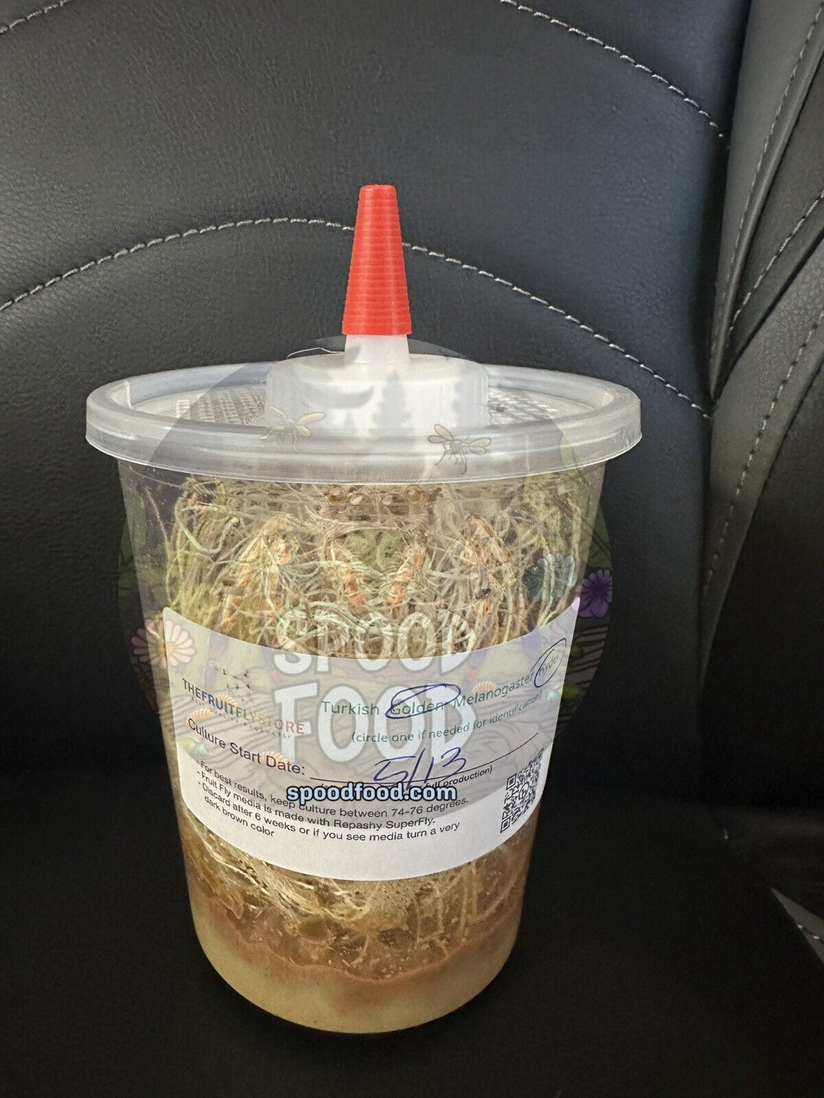 Easy Feed Deli Cup Lids (3 count) image 0