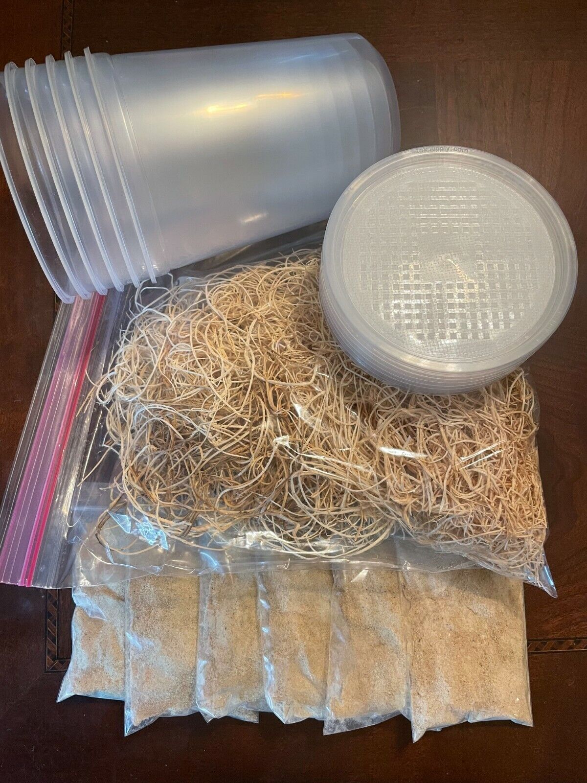 Fruit Fly Culture Kit - Makes 6 cultures - with or without flies image 0