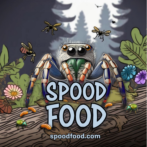 The Fruit Fly Store