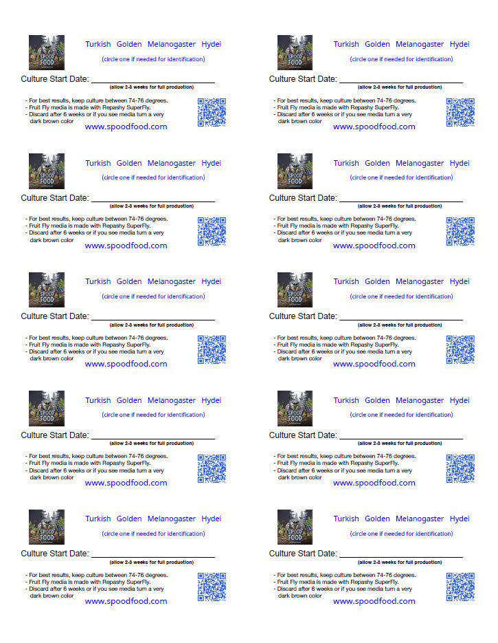 Culture Labels - Free Template Download image 0
