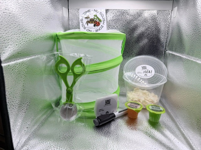 All-in-One Feeder Fly Hatching & Containment Kit