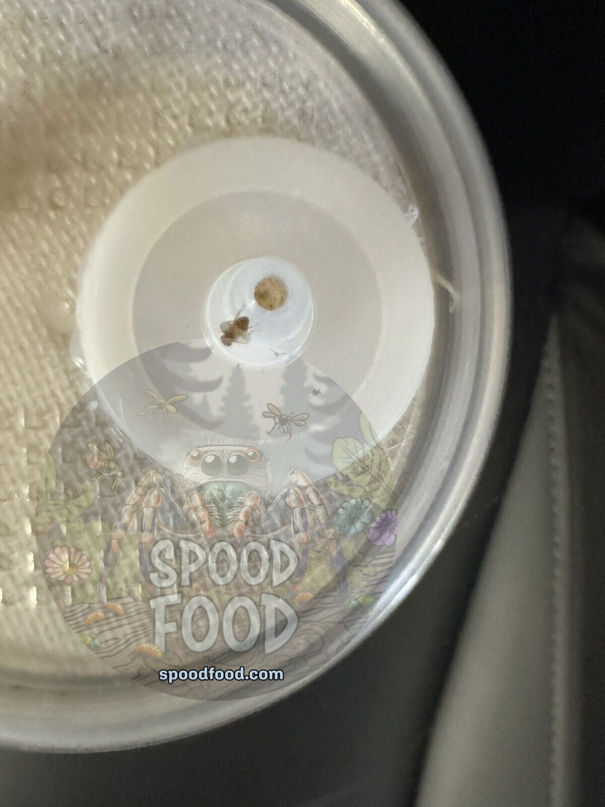 Easy Feed Deli Cup Lids (3 count) image 3