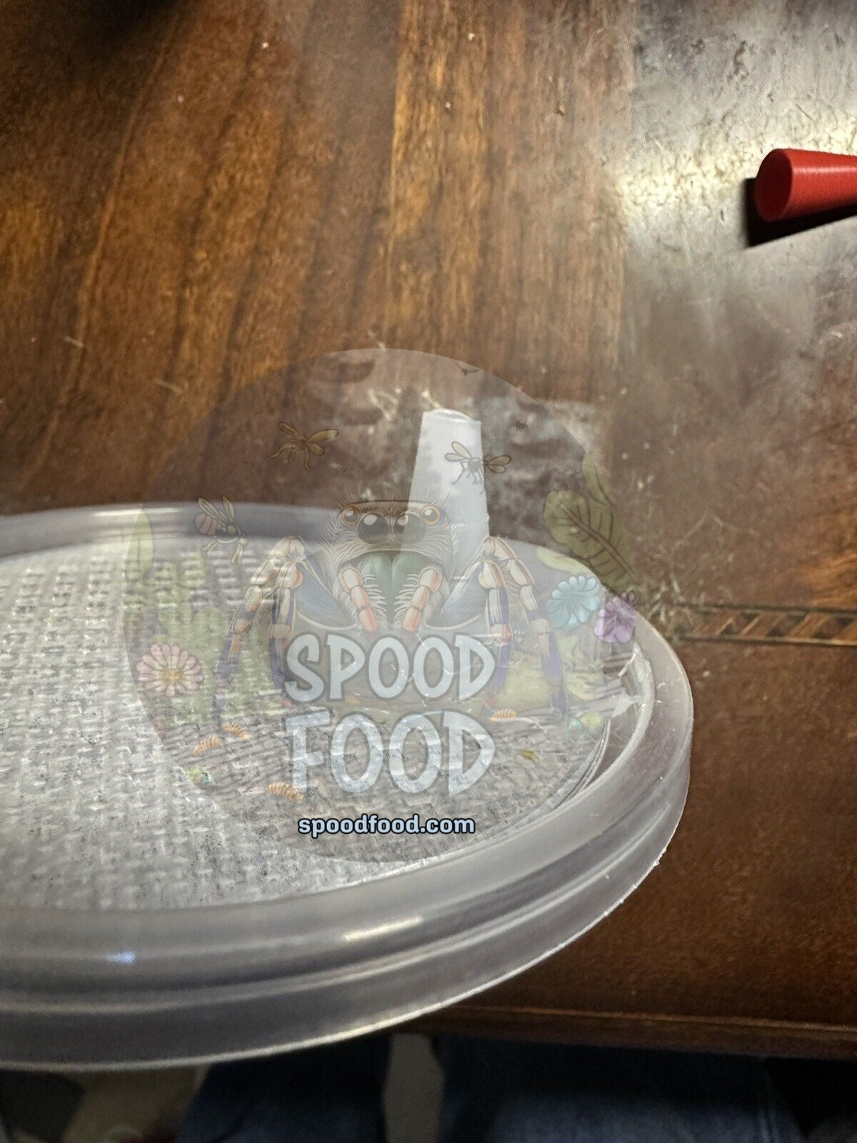 Easy Feed Deli Cup Lids (3 count) image 2